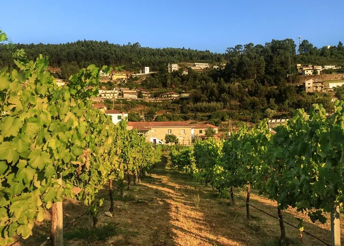 Casa Do Vito * Couto (Viseu)