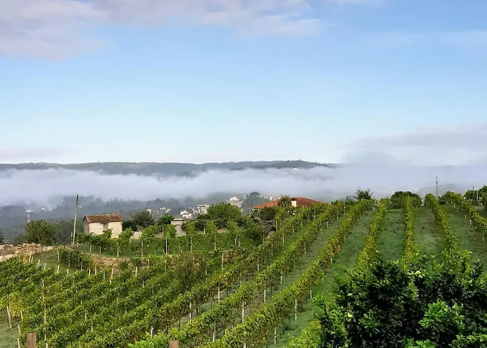 Villa Casa Do Vito *